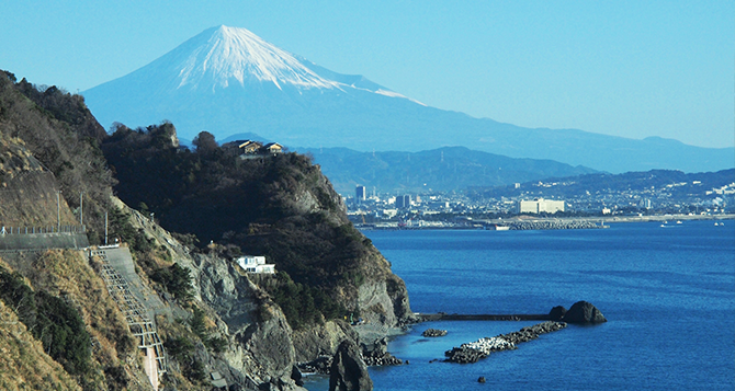 写真：大崩海岸