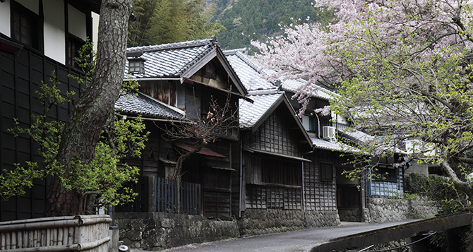 写真：花沢の里