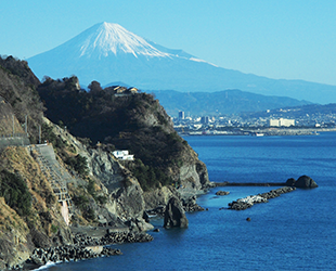 写真：大崩海岸