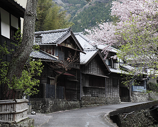 写真：花沢の里